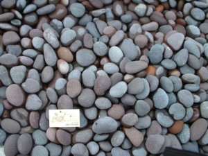Mexican Beach Aggregate Red