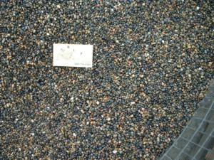 Mexican Beach Pebble ag-0006.jpg - 85965 Bytes
