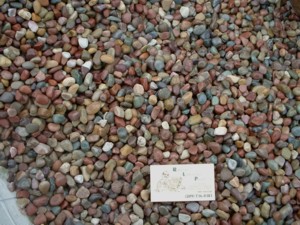 Pami Pebble ag-0011.jpg - 71263 Bytes