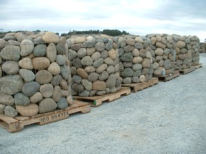 CUTHBERT COBBLE cbp-0040.jpg - 44800 Bytes